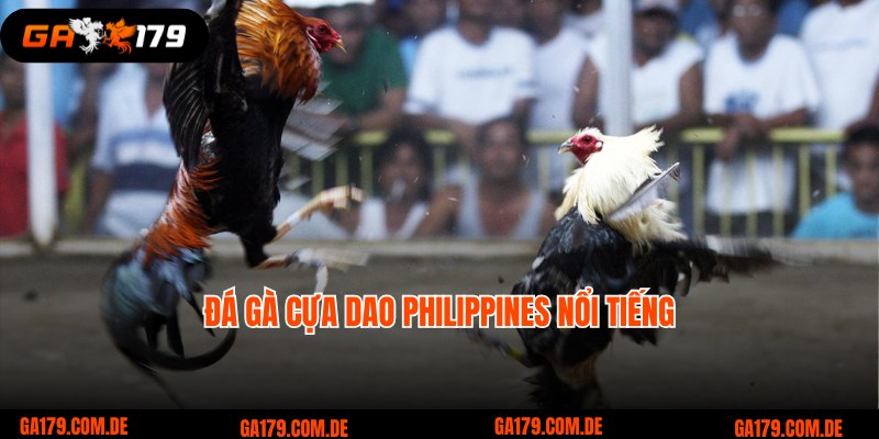 đá gà cựa dao Philippines