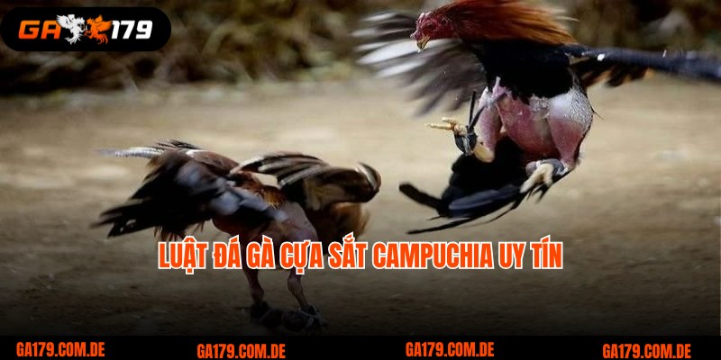 Luật chung áp dụng với hình thức đá gà cựa sắt Campuchia