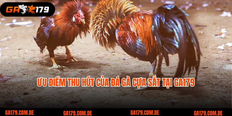 Các ưu điểm của hình thức đá gà cựa sắt tại Ga179